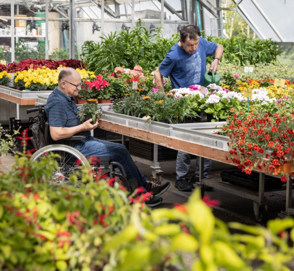 Blumen und Kräuter werden in der Gärtnerei gepflegt.